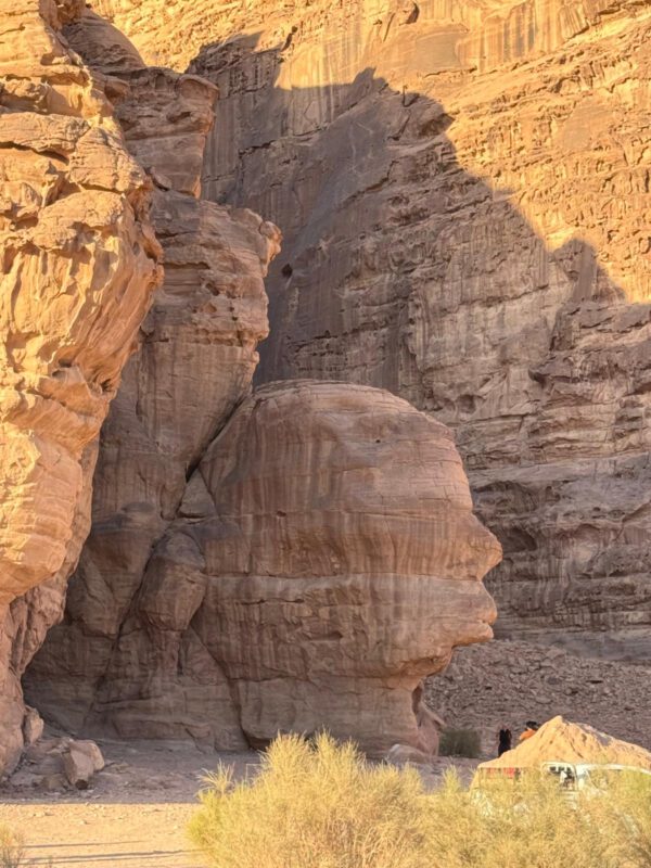 WhatsApp Image 2026-01-13 at 16.15.58