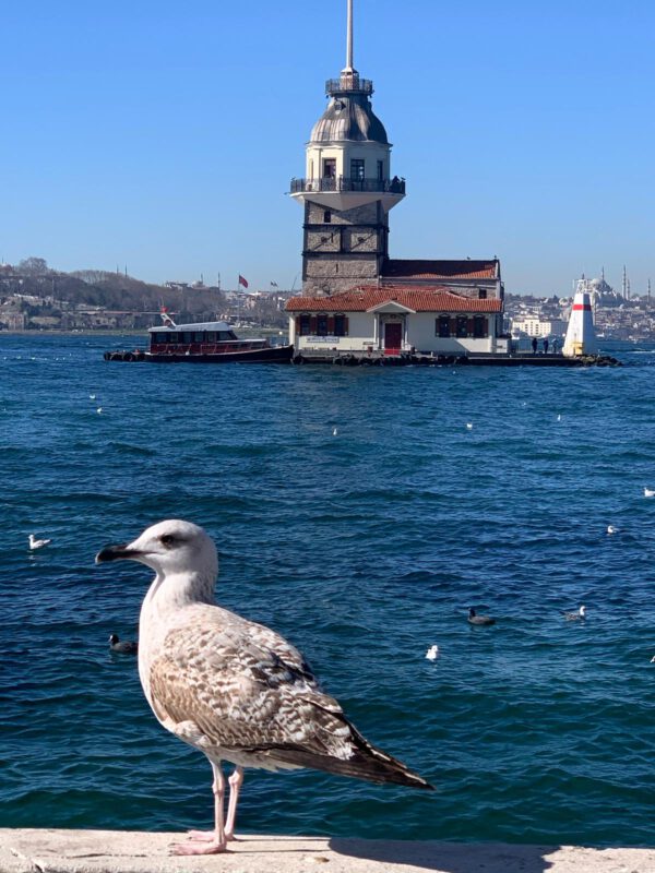 WhatsApp Image 2026-01-13 at 20.08.20 (1) WhatsApp Image 2026-01-13 at 20.08.20 (1)