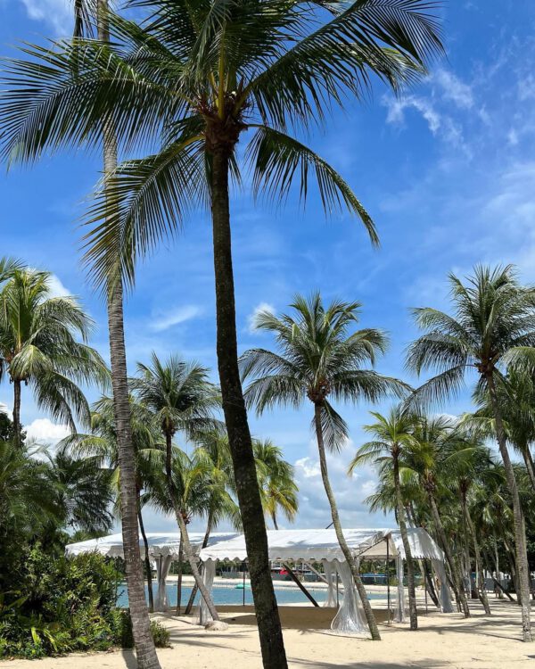 WhatsApp Image 2026-01-18 at 18.53.15 (1) WhatsApp Image 2026-01-18 at 18.53.15 (1)