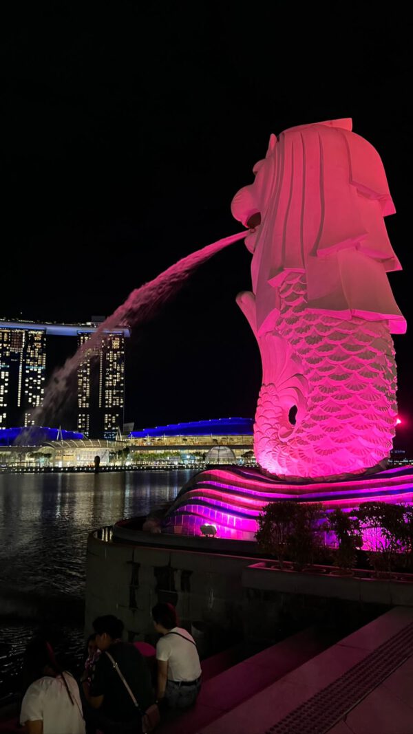 WhatsApp Image 2026-01-18 at 18.53.16 (2) WhatsApp Image 2026-01-18 at 18.53.16 (2)