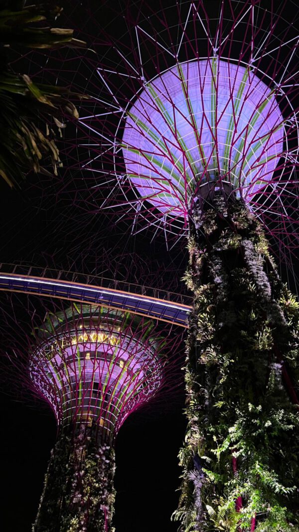 WhatsApp Image 2026-01-18 at 18.53.17 (1) WhatsApp Image 2026-01-18 at 18.53.17 (1)