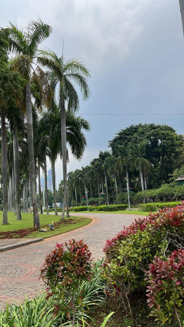 WhatsApp Image 2026-01-18 at 18.53.17 WhatsApp Image 2026-01-18 at 18.53.17