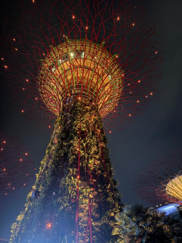 WhatsApp Image 2026-01-18 at 18.54.54 (1) WhatsApp Image 2026-01-18 at 18.54.54 (1)