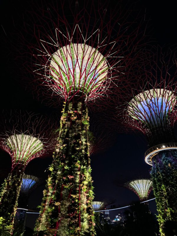 WhatsApp Image 2026-01-18 at 18.54.55 WhatsApp Image 2026-01-18 at 18.54.55