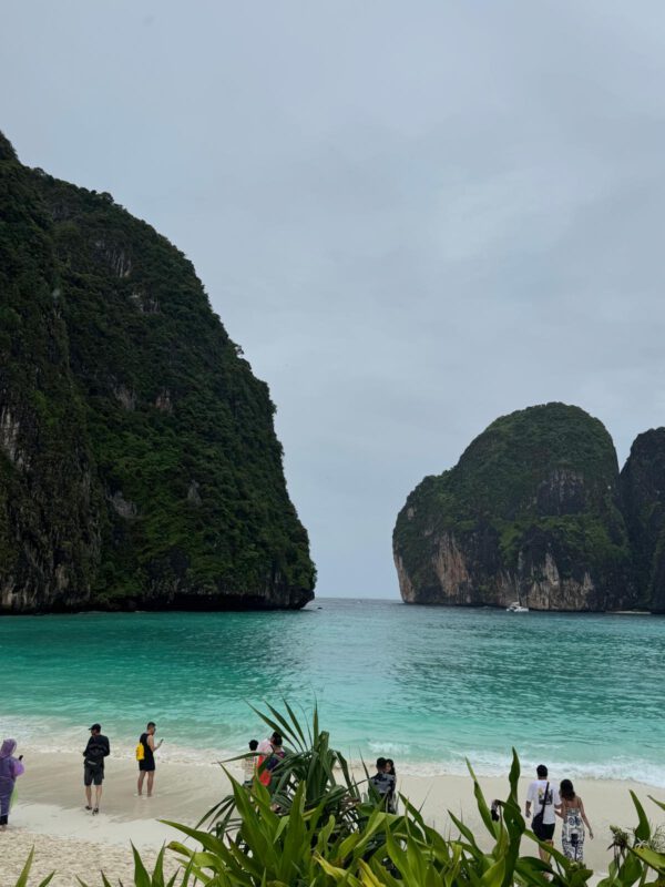 WhatsApp Image 2026-01-19 at 12.40.36