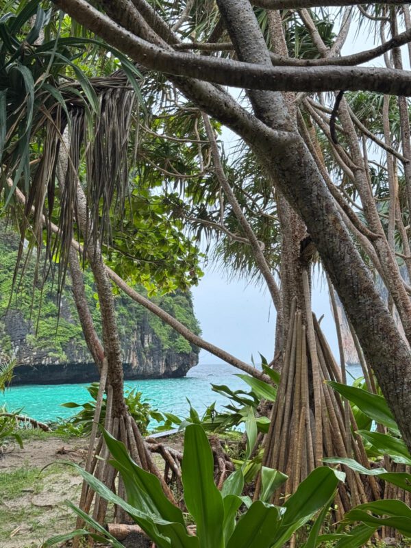 WhatsApp Image 2026-01-19 at 12.42.48 (1) WhatsApp Image 2026-01-19 at 12.42.48 (1)