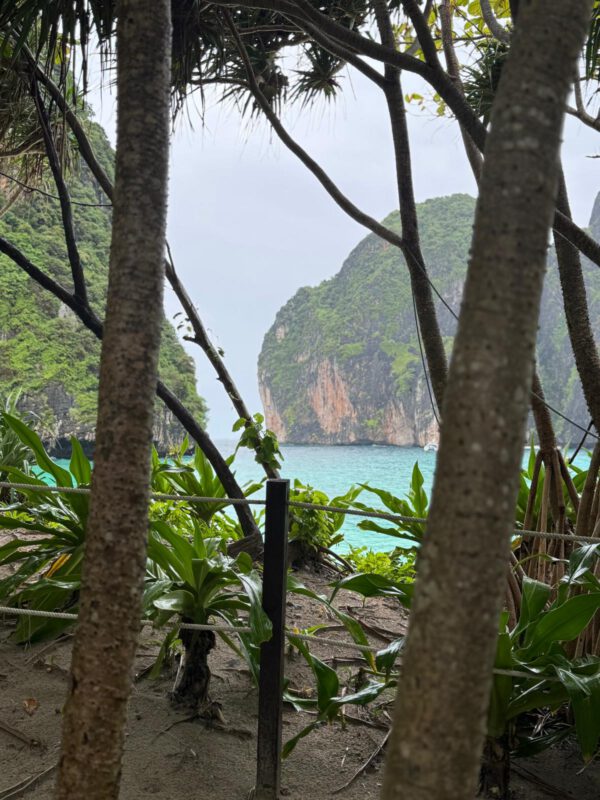 WhatsApp Image 2026-01-19 at 12.42.48 (2) WhatsApp Image 2026-01-19 at 12.42.48 (2)