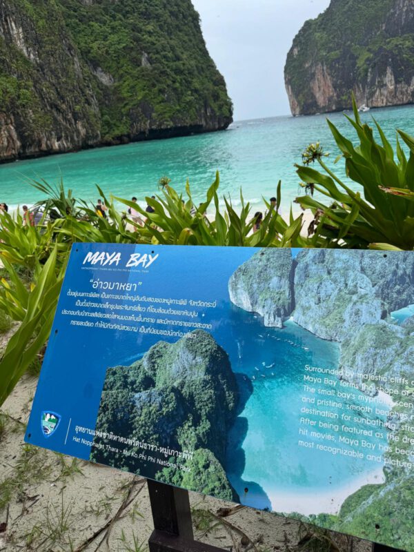 WhatsApp Image 2026-01-19 at 12.42.48 (3) WhatsApp Image 2026-01-19 at 12.42.48 (3)