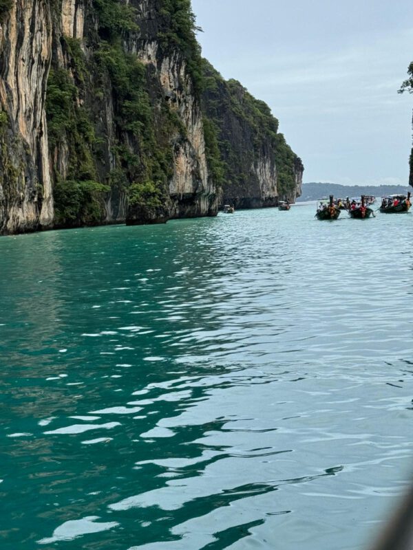 WhatsApp Image 2026-01-19 at 12.42.48 WhatsApp Image 2026-01-19 at 12.42.48