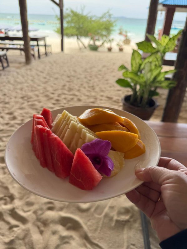 WhatsApp Image 2026-01-19 at 12.42.49 (2) WhatsApp Image 2026-01-19 at 12.42.49 (2)