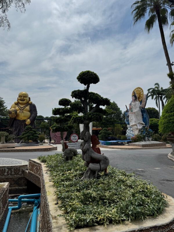 WhatsApp Image 2026-01-19 at 12.42.49 (4) WhatsApp Image 2026-01-19 at 12.42.49 (4)