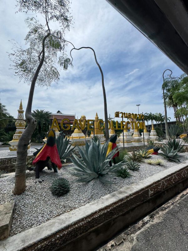 WhatsApp Image 2026-01-19 at 12.42.49 (5) WhatsApp Image 2026-01-19 at 12.42.49 (5)