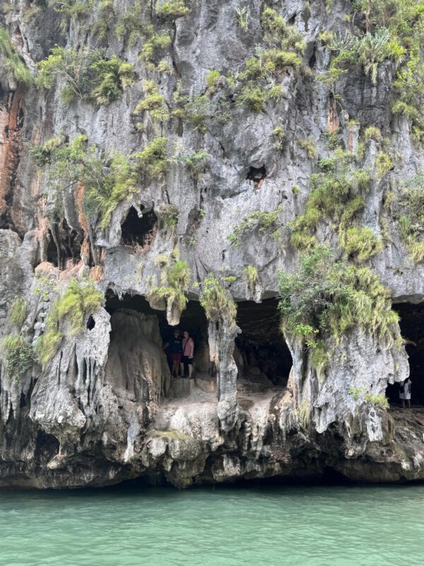 WhatsApp Image 2026-01-19 at 12.42.49 WhatsApp Image 2026-01-19 at 12.42.49