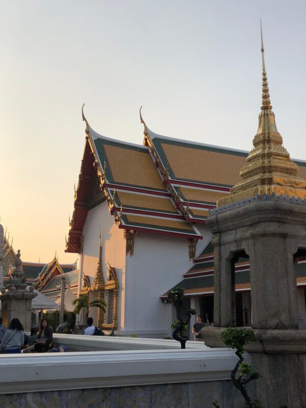 WhatsApp Image 2026-01-19 at 12.44.29 (1) WhatsApp Image 2026-01-19 at 12.44.29 (1)