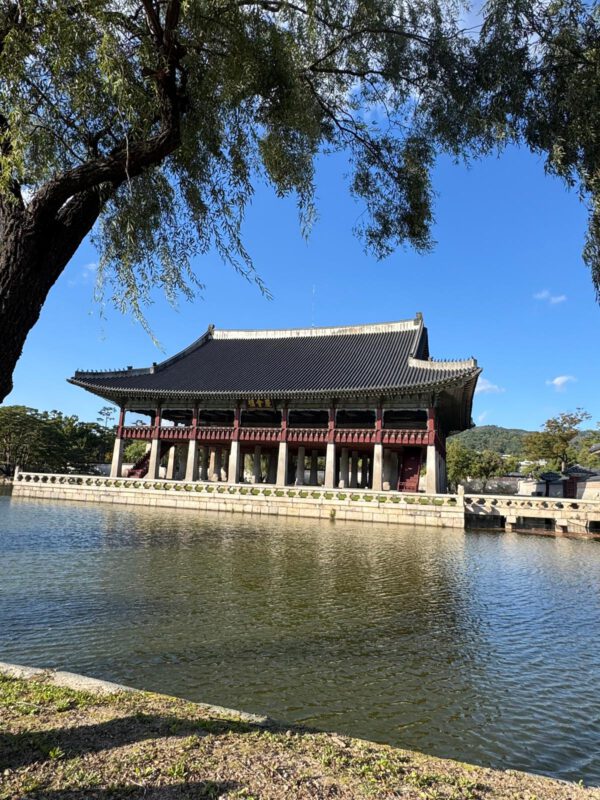 WhatsApp Image 2026-01-19 at 12.48.11 (3)