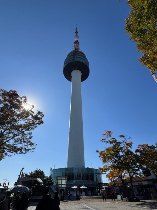 WhatsApp Image 2026-01-19 at 12.48.11 WhatsApp Image 2026-01-19 at 12.48.11