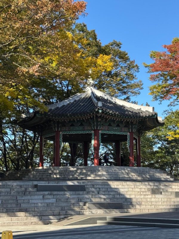 WhatsApp Image 2026-01-19 at 12.48.12 (3) WhatsApp Image 2026-01-19 at 12.48.12 (3)