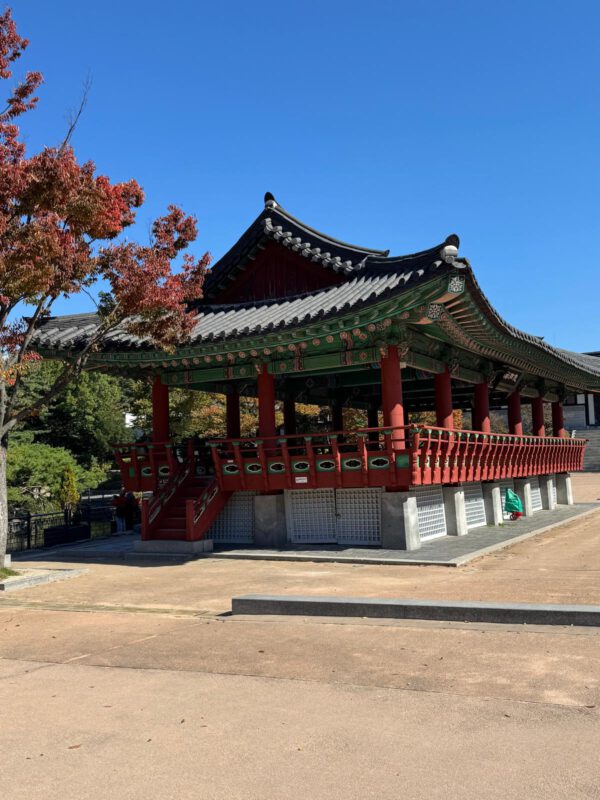 WhatsApp Image 2026-01-19 at 12.48.13 WhatsApp Image 2026-01-19 at 12.48.13