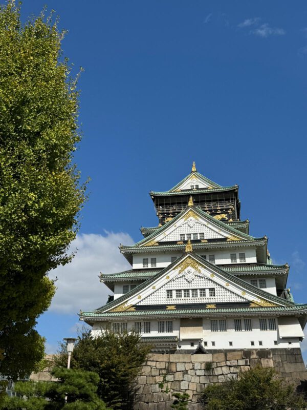 WhatsApp Image 2026-01-19 at 12.51.07 (2)