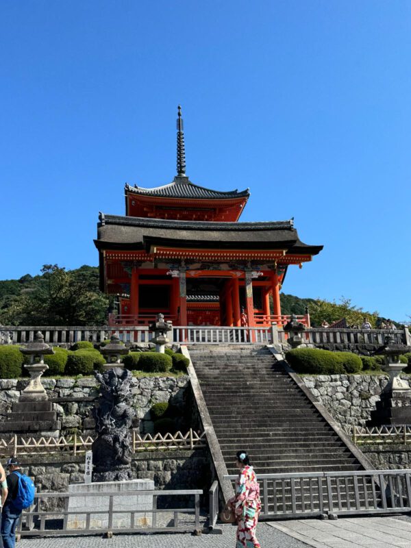 WhatsApp Image 2026-01-19 at 12.51.45 (2)