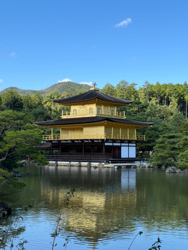 WhatsApp Image 2026-01-19 at 12.52.33 (2)