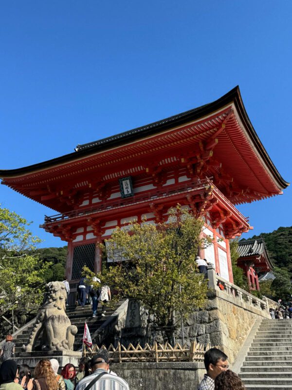 WhatsApp Image 2026-01-19 at 12.52.33