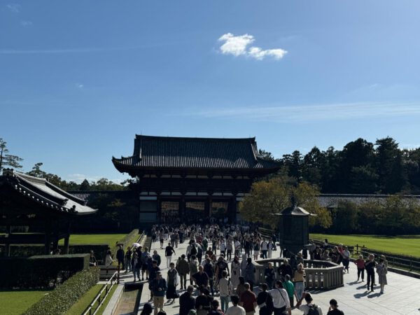 WhatsApp Image 2026-01-19 at 12.53.42 (1)