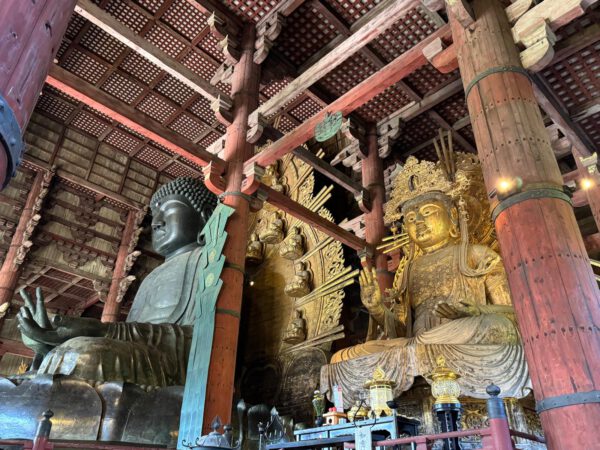 WhatsApp Image 2026-01-19 at 12.54.30 (2)