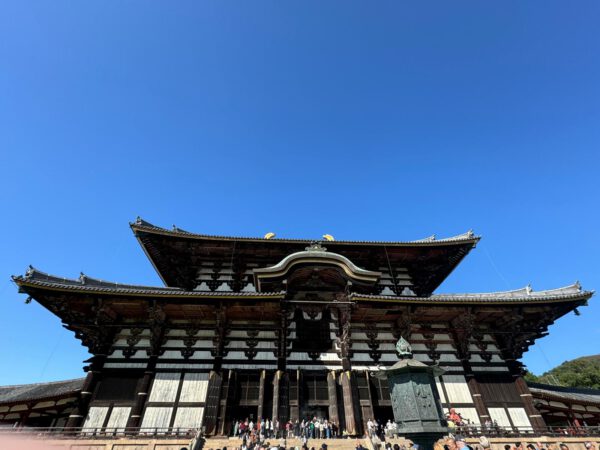 WhatsApp Image 2026-01-19 at 12.54.30 (3)