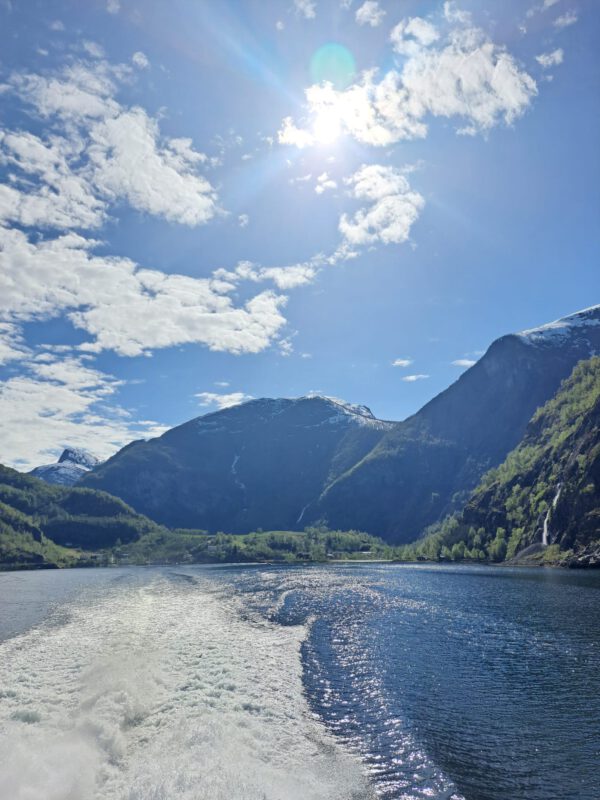 WhatsApp Image 2026-01-22 at 18.26.58 WhatsApp Image 2026-01-22 at 18.26.58