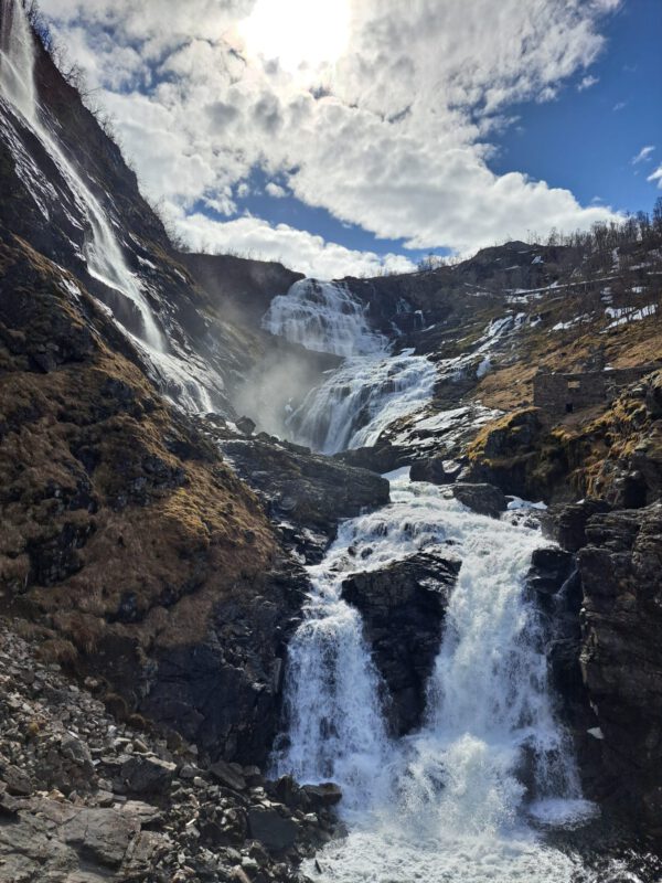 WhatsApp Image 2026-01-22 at 18.26.59 (1)