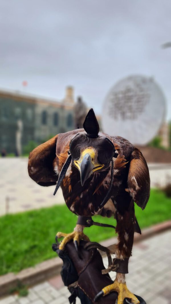 fc922ef0-4c41-4978-b291-464ed511abef