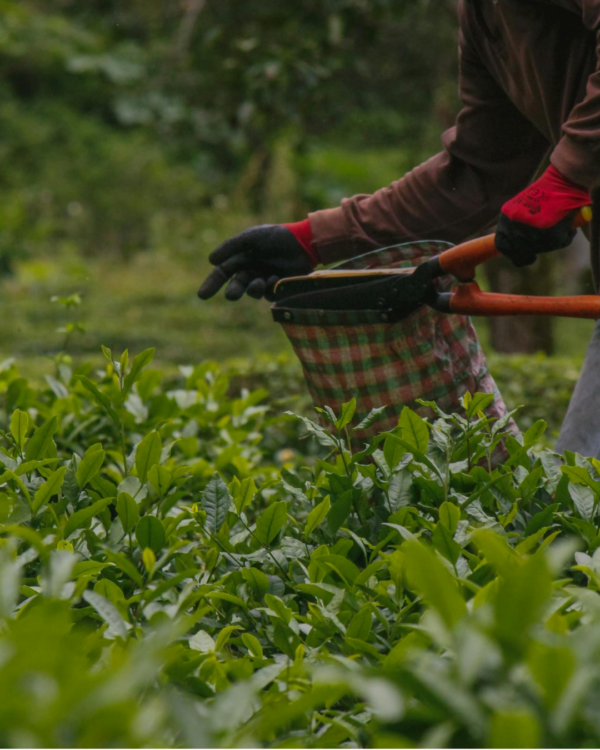 instories_E8BE94EF-B1AB-412F-BEBC-ACC97405B583