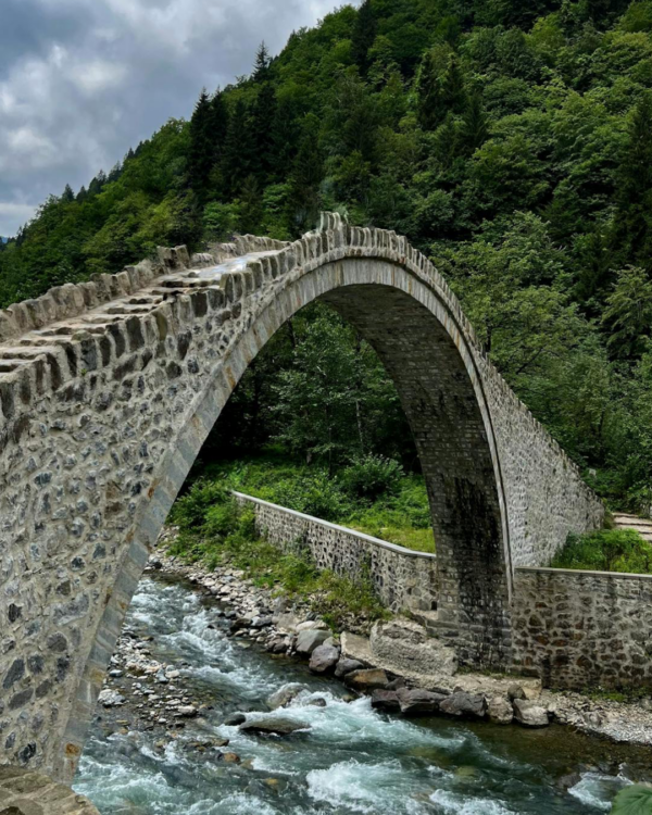 instories_F3378F80-337F-4157-B877-19FF7748B65A